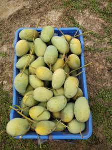 WhatsApp Image 2025-04-29 at 09.53.36_0656136b