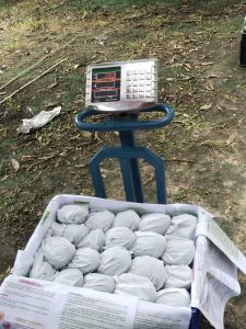 WhatsApp Image 2025-04-29 at 09.53.38_f156b20e