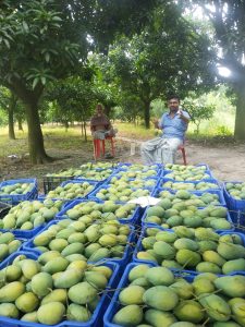 WhatsApp Image 2025-04-29 at 09.53.39_fe3eaa84