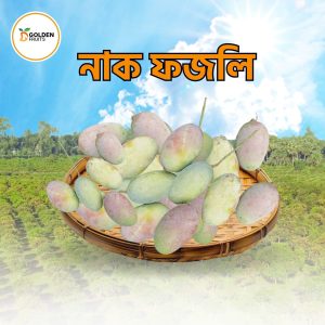 নাক ফজলি আম - 20 KG