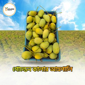গোল্ডেন কালার আম্রপালি - 20 KG