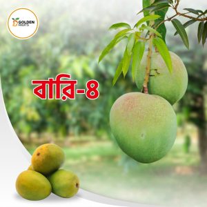 বারি-৪ আম - 20 KG