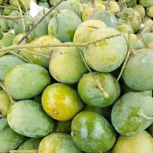 WhatsApp Image 2025-04-27 at 12.48.23_c16f1d55