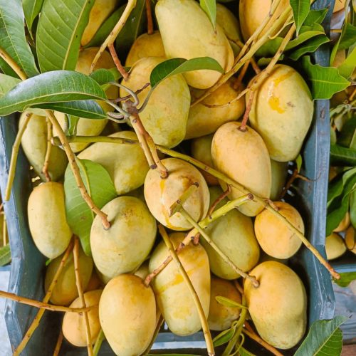 WhatsApp Image 2025-04-27 at 12.50.13_5286798f