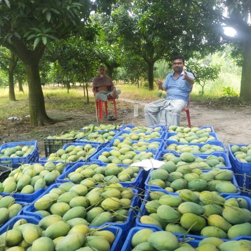 WhatsApp Image 2025-04-29 at 09.53.39_fe3eaa84