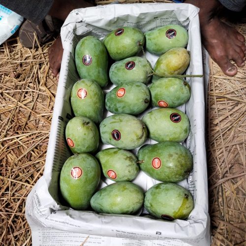 WhatsApp Image 2026-01-17 at 11.28.06 AM