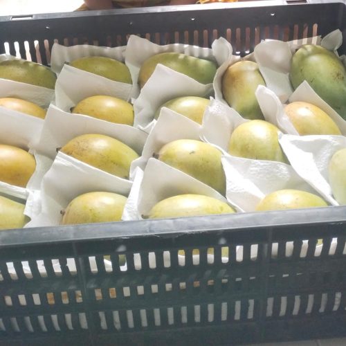 WhatsApp Image 2026-01-17 at 11.28.07 AM (1)