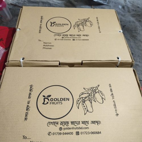 WhatsApp Image 2026-01-17 at 11.28.07 AM